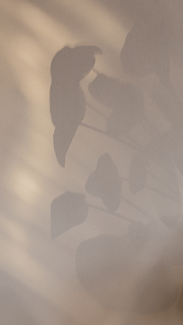 NATURAL LIGHT AESTHETIC