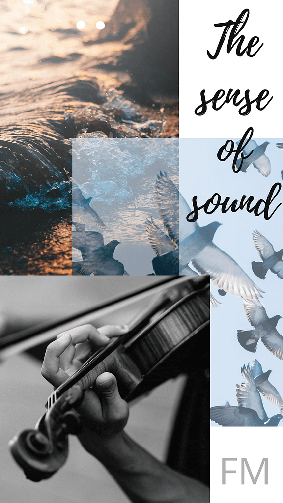 The Sense Of Sound.