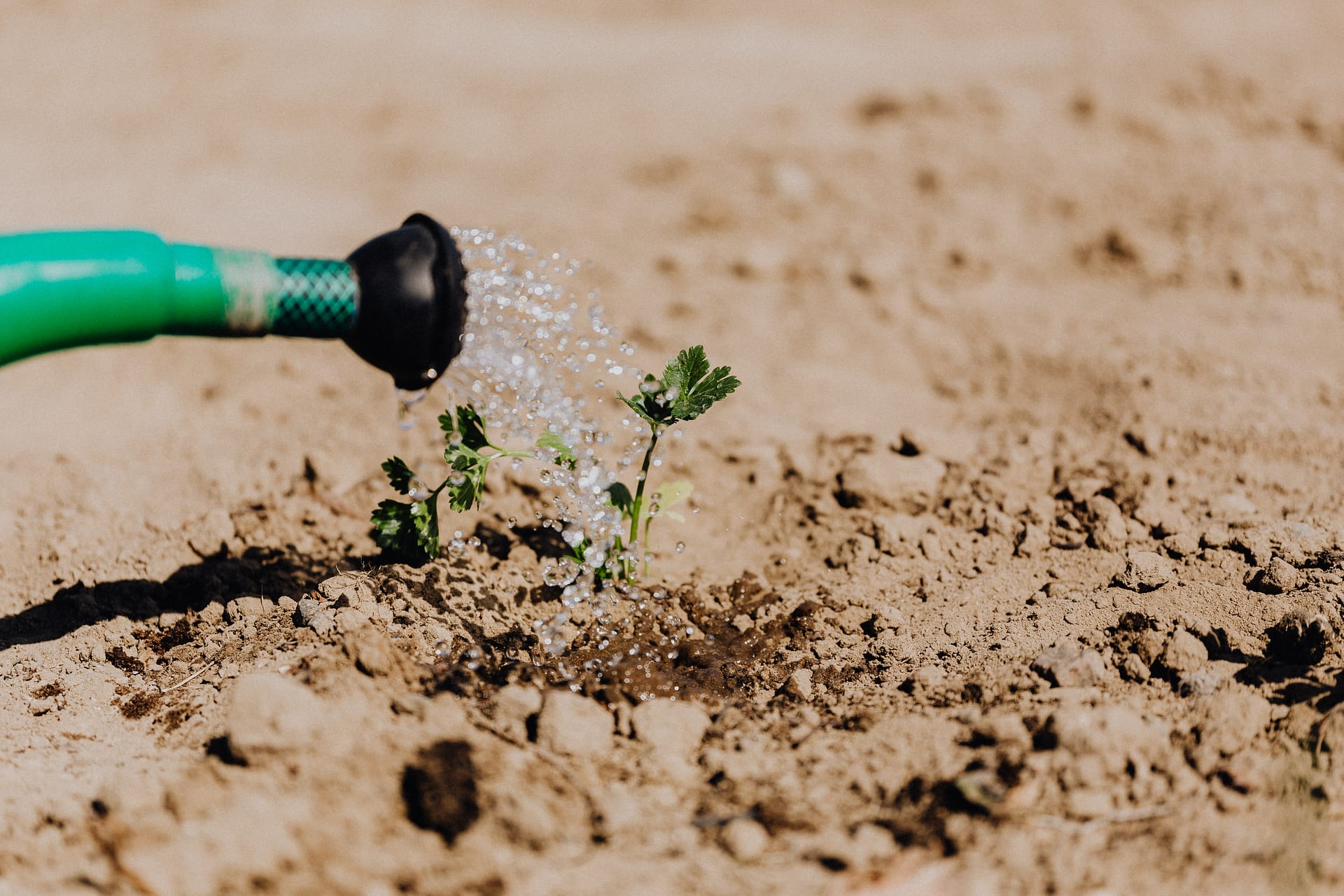 A sustainable future for all.